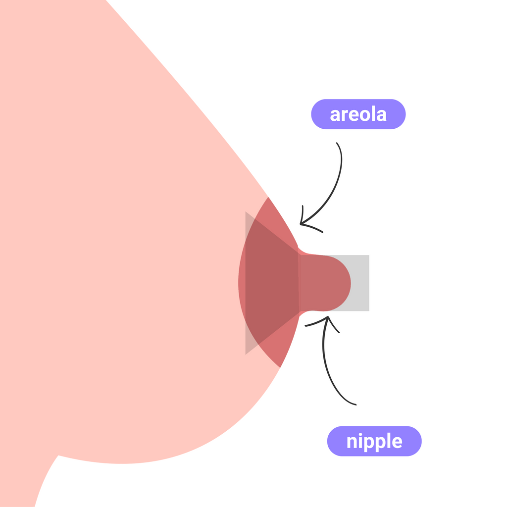  - Wearable Breast Pump