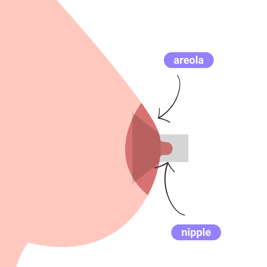  - Wearable Breast Pump